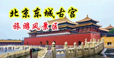 小骚妇在线视频中国北京-东城古宫旅游风景区